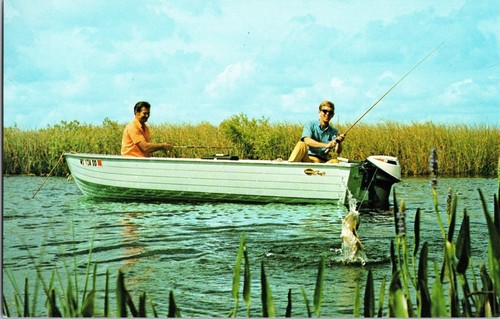 Fishing adventure postcard - adventure,