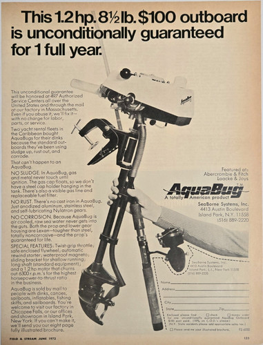 1972 aquabug outboard motor - 1972,