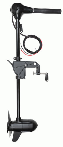 Fox 80lb 12v - fox, bl