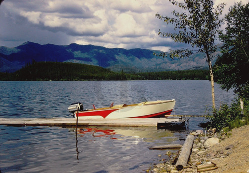 Boat evinrude lark - w/evinrude,