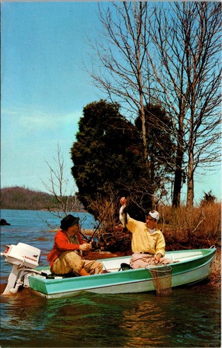 Vintage fishing postcard - vintage,
